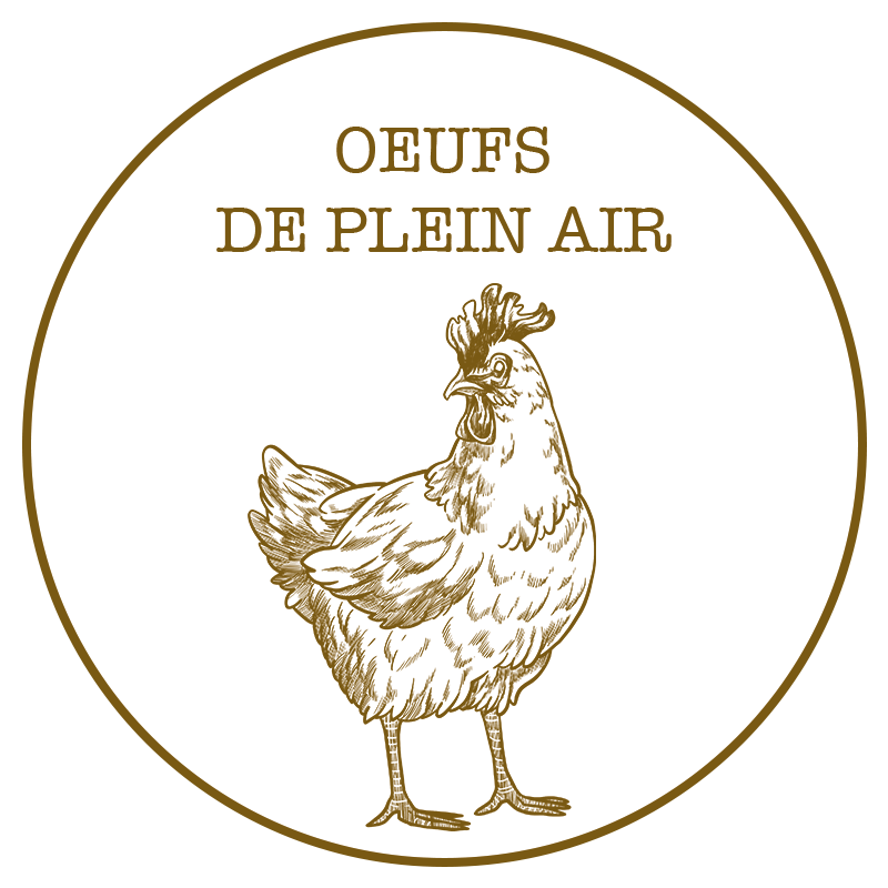 Production d'oeufs en gros à Gap