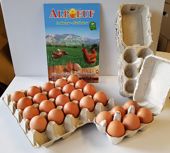 Alpoeuf : producteur et distributeur d'oeufs plein air labélisée à Gap en Hautes-Alpes