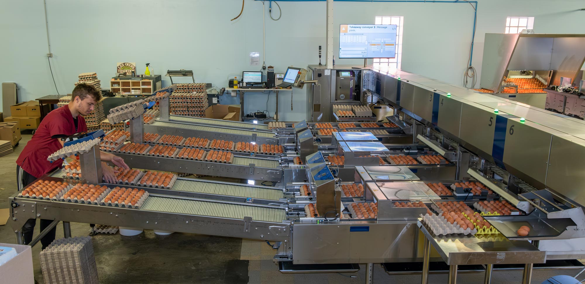 Production d'oeufs en gros à Gap